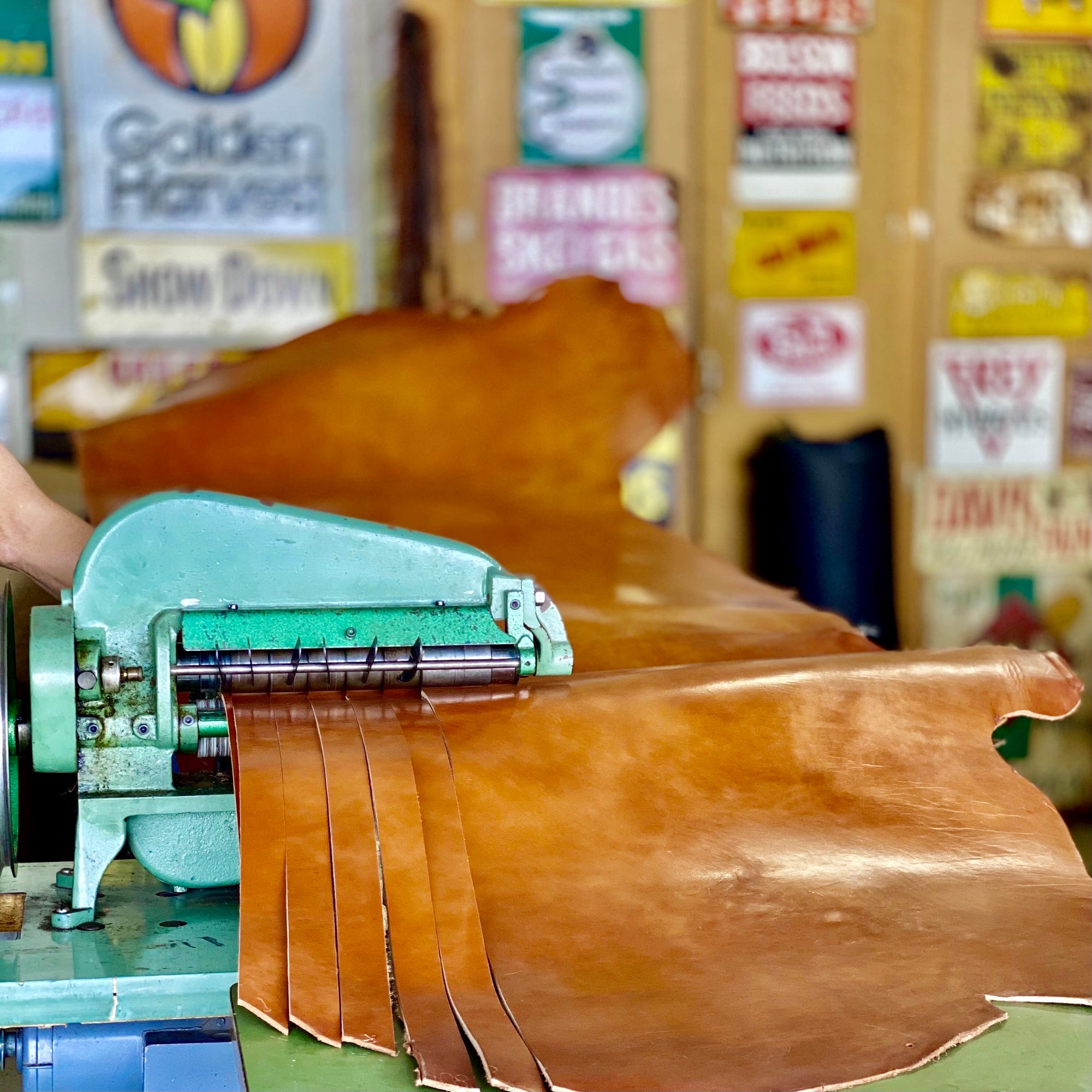 Our Classic Bridle Leather Belts