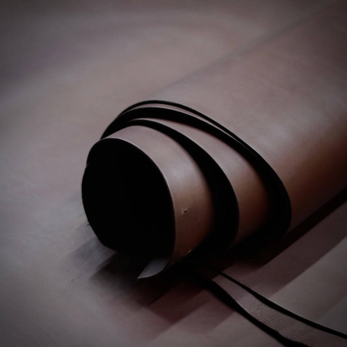 Women's Dark Brown 1.5 Leather Belt | Steel or Brass Horseshoe Buckle | The Brooke