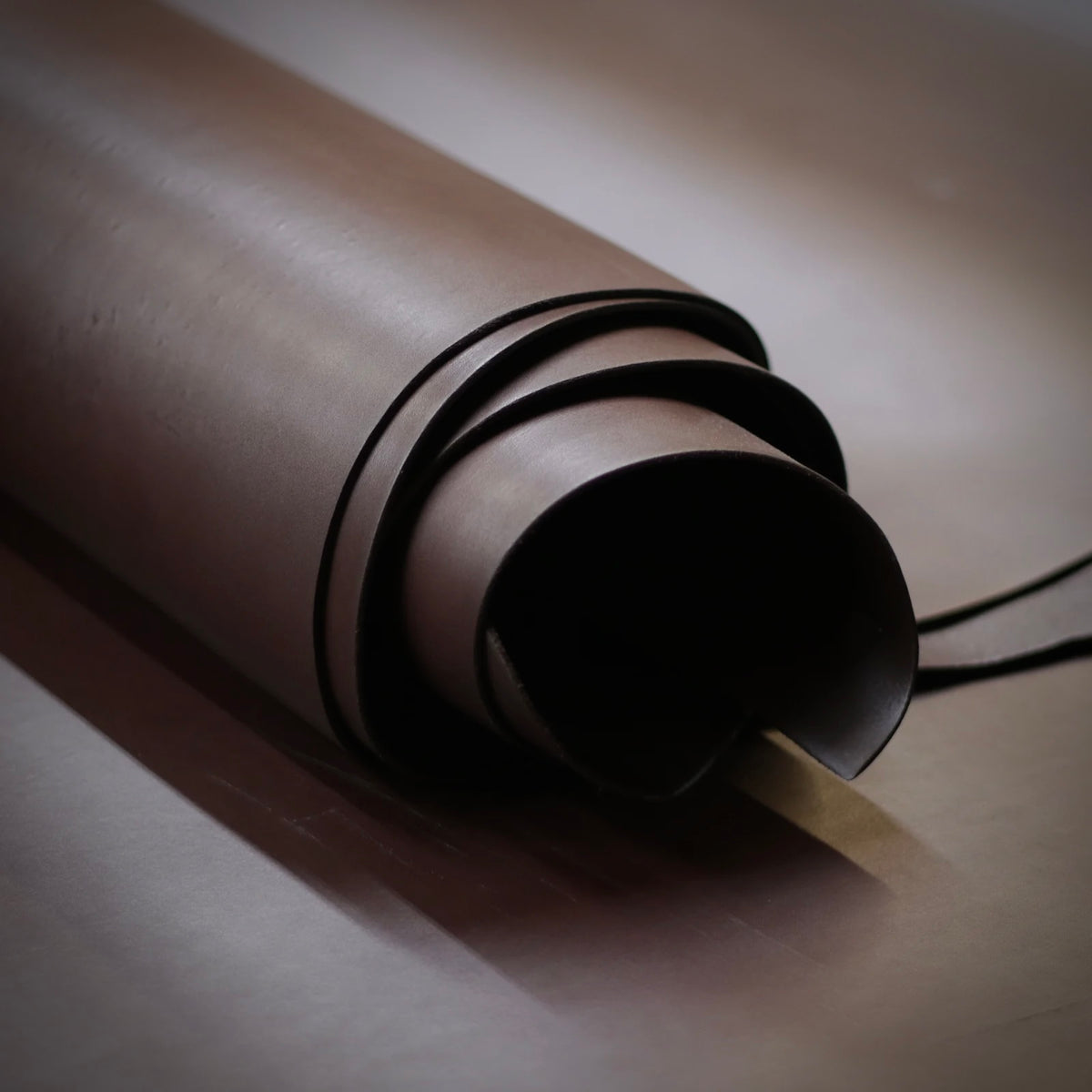 Women's Dark Brown 1.5 Leather Belt | Steel or Brass Horseshoe Buckle | The Brooke