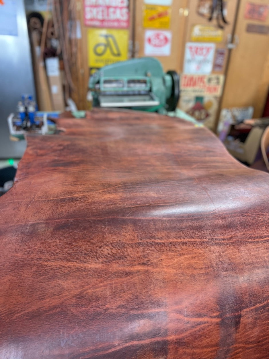 Oak Select leather belt in Chestnut color #413