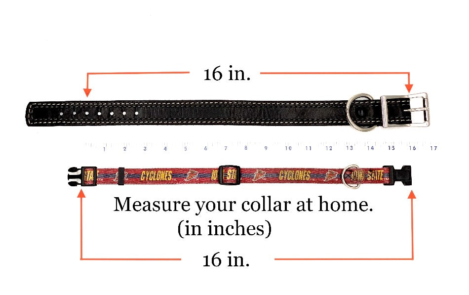 The MISTY MAY Dog Collar