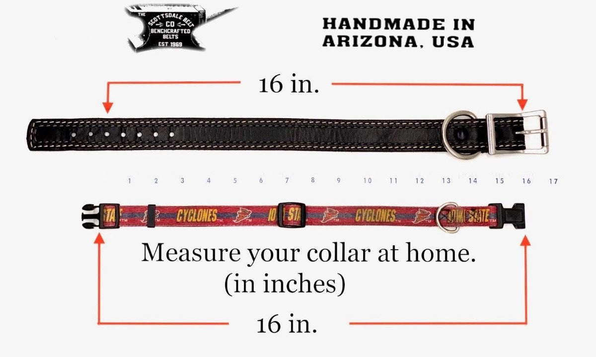 The BRITTANY 5/8&amp;quot; Dog Collar